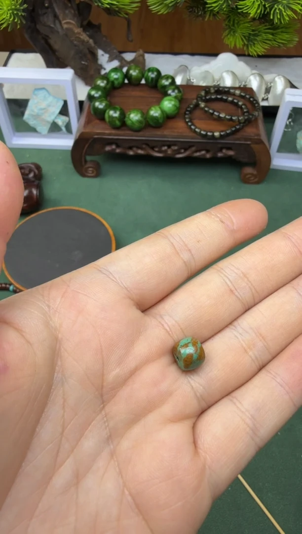 菜籽黄+地狱绿7.5X9.1直切单颗