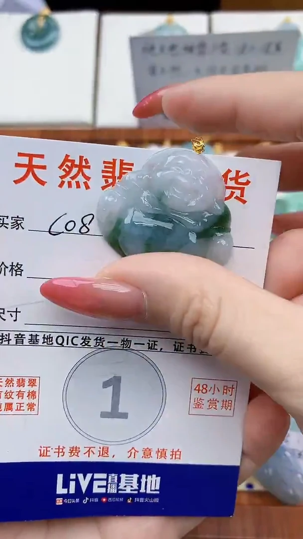 颈饰未镶嵌翡翠天然A货翡翠挂件