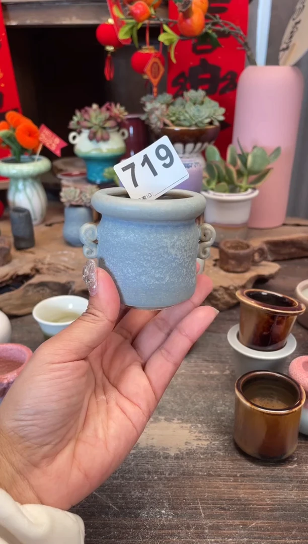 【闪购商品】摆件719福利知木小芳花盆