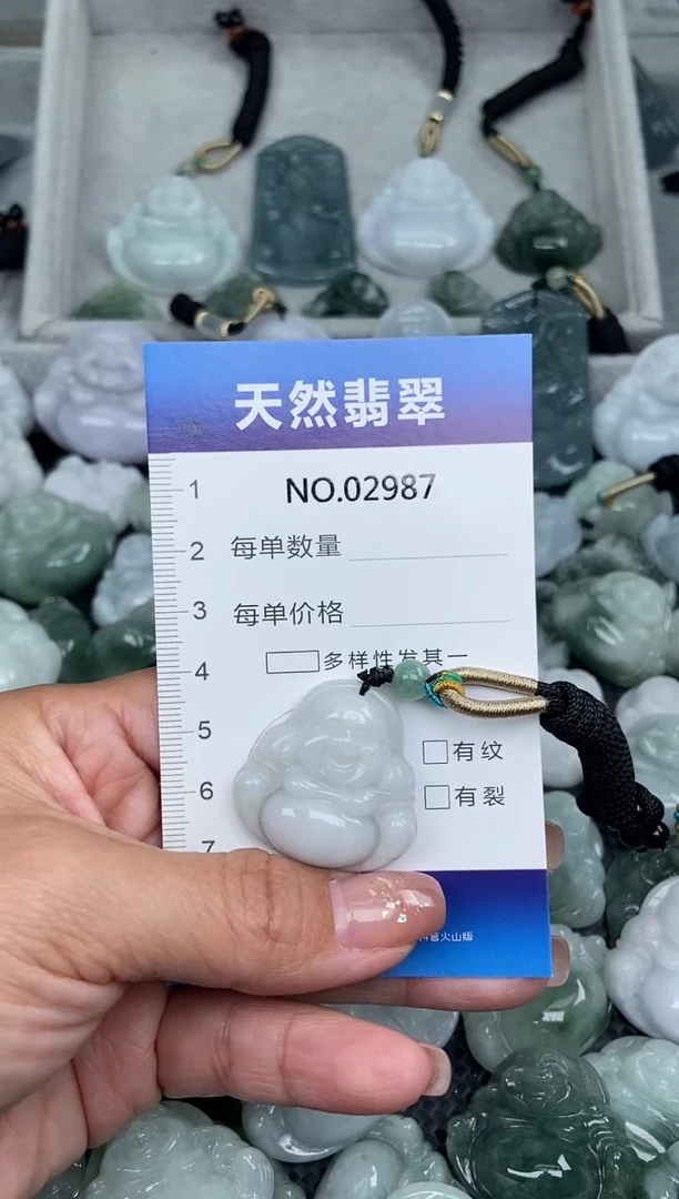 颈饰未镶嵌翡翠纯天然A货翡翠2987