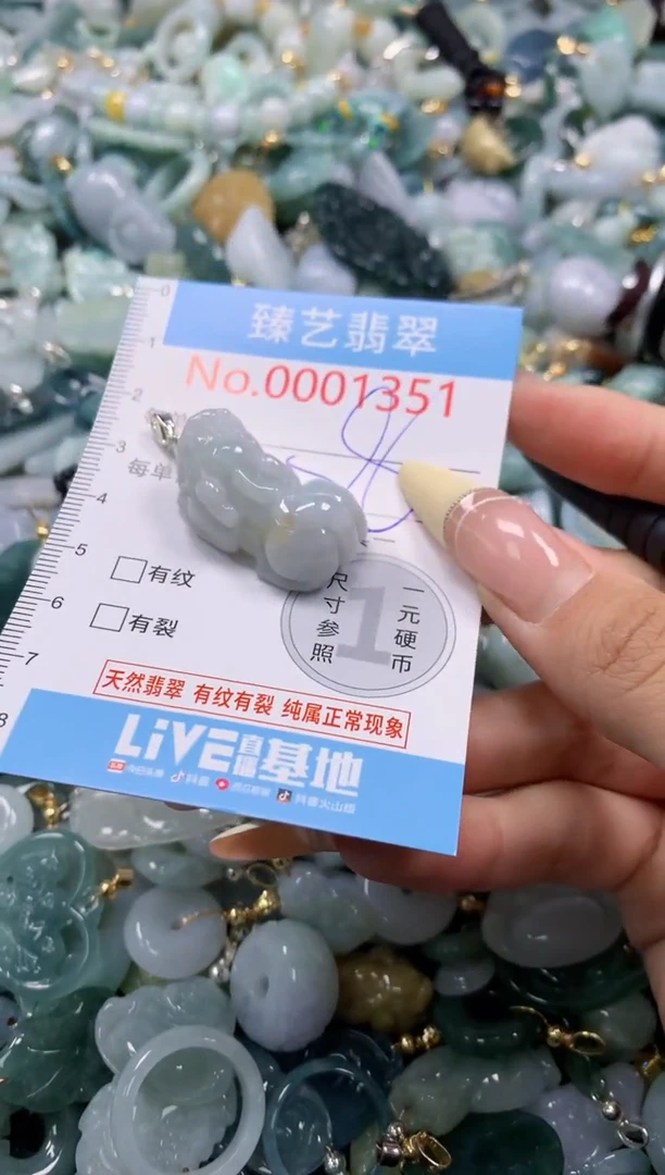 翡翠未镶嵌颈饰含绳0001351