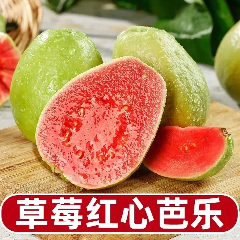 红心软芭乐奶油白心软糯番石榴当季低糖低卡水果新鲜采摘