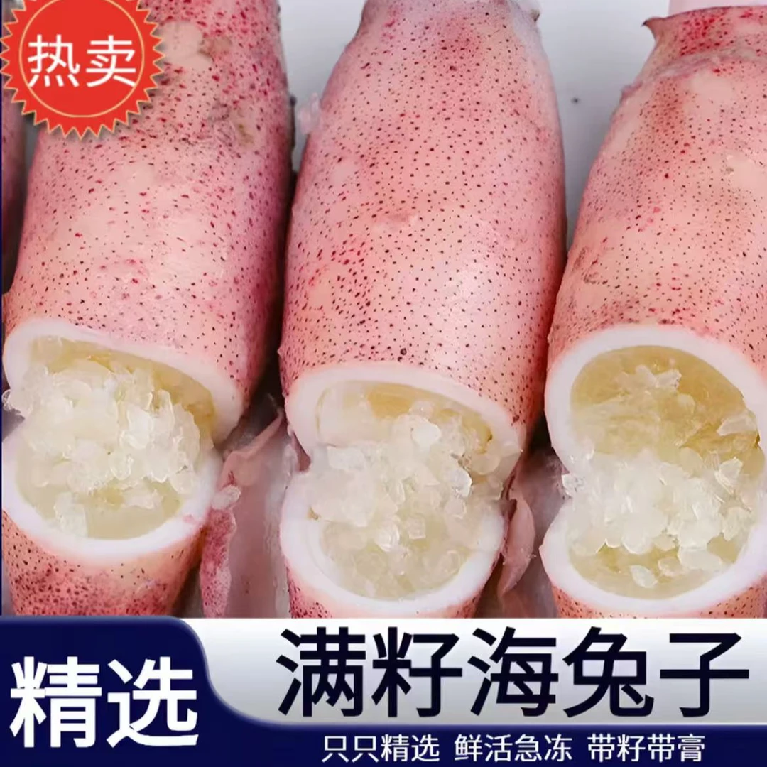【满膏满籽海兔】渔船捕捞鲜活速冻满籽海兔（无籽包赔）