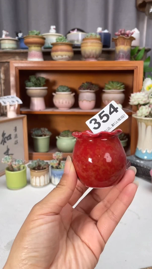 瓷片354小芳直播编号