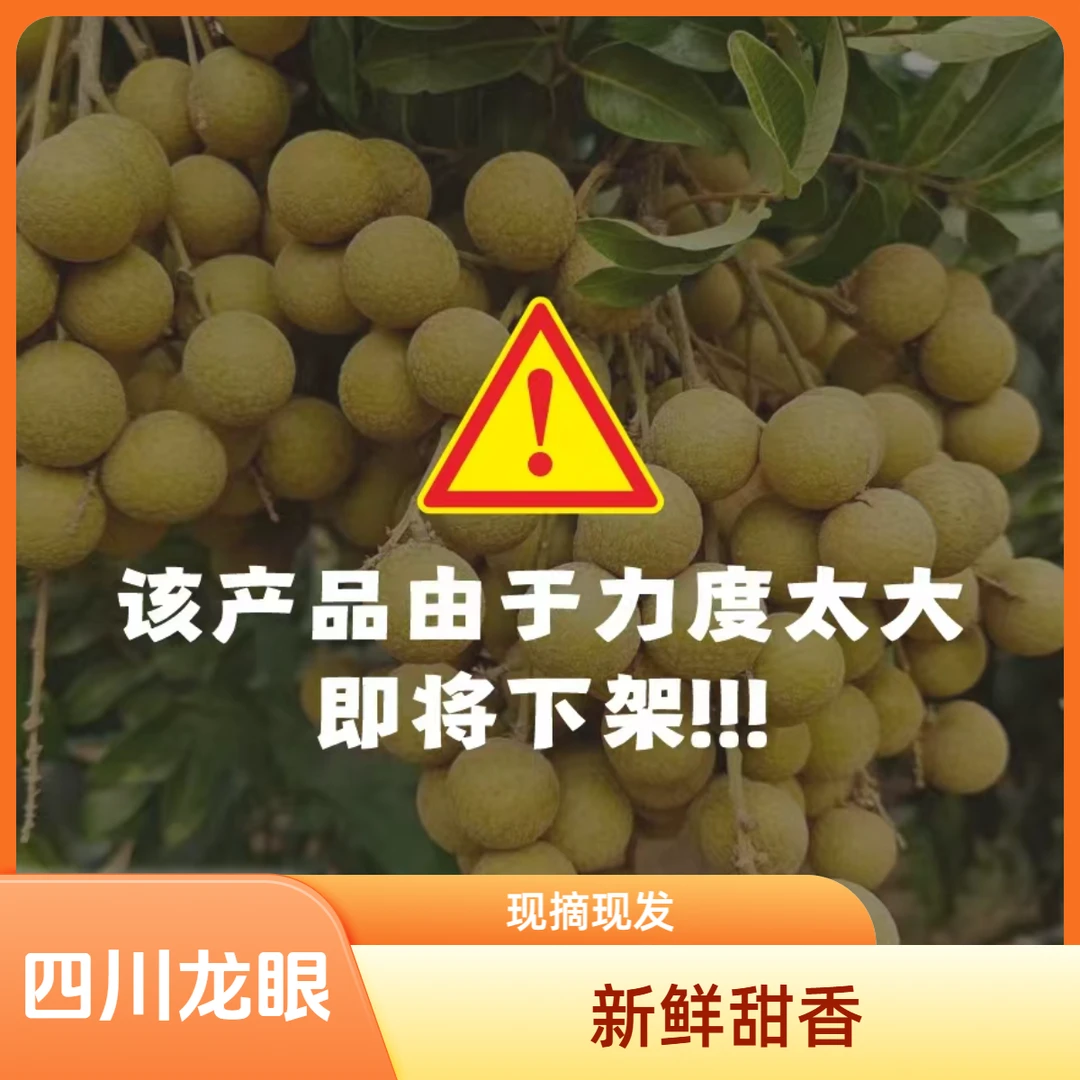 四川产地新鲜冰糖石硖储良龙眼皮薄肉厚超甜桂圆果现摘现发