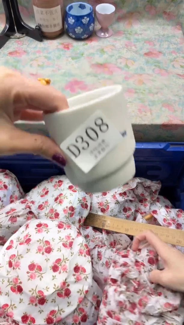 瓷片番***煲       D308