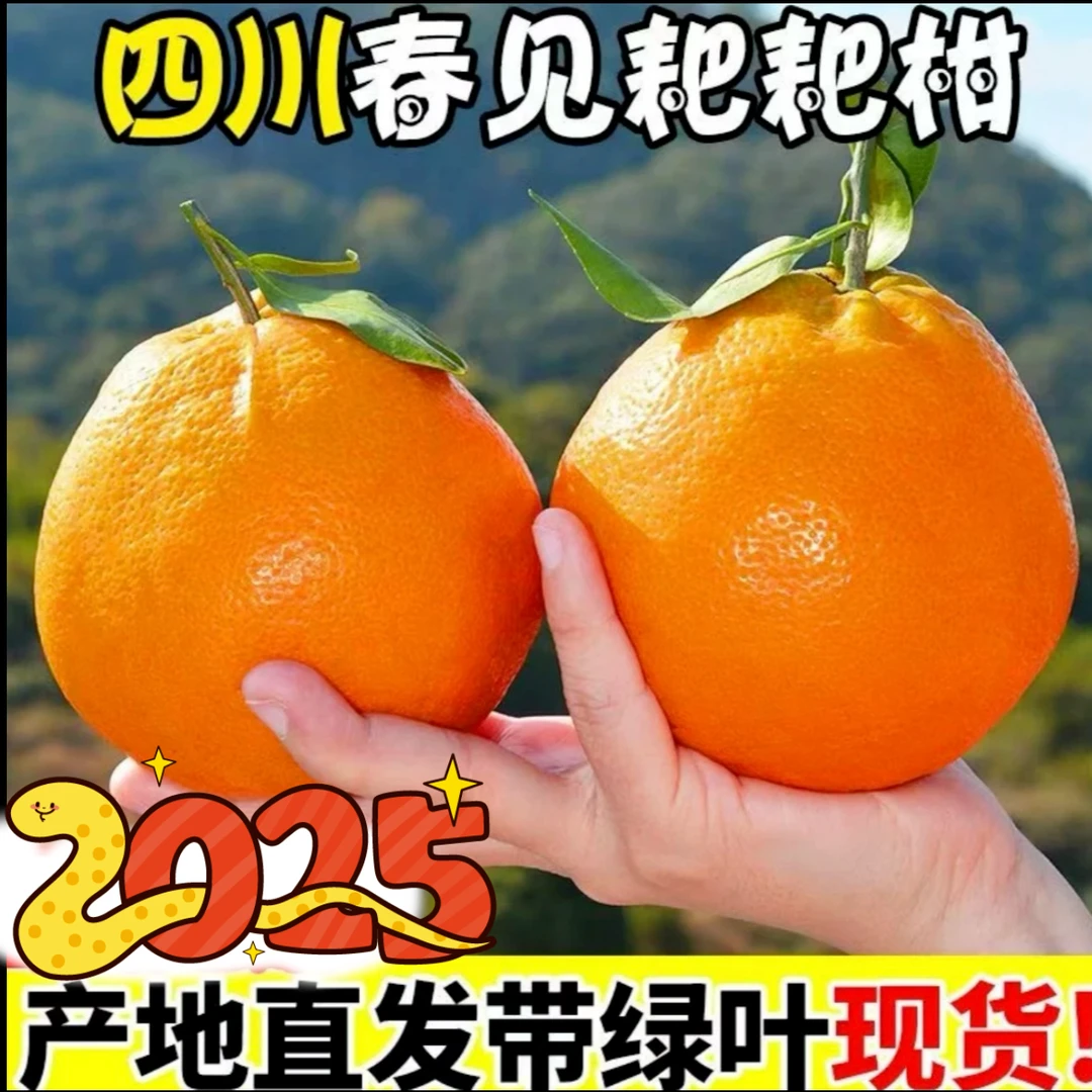 【正宗春见耙耙柑】新鲜水果爆汁爽口粒粒分明核心产区现摘现发M