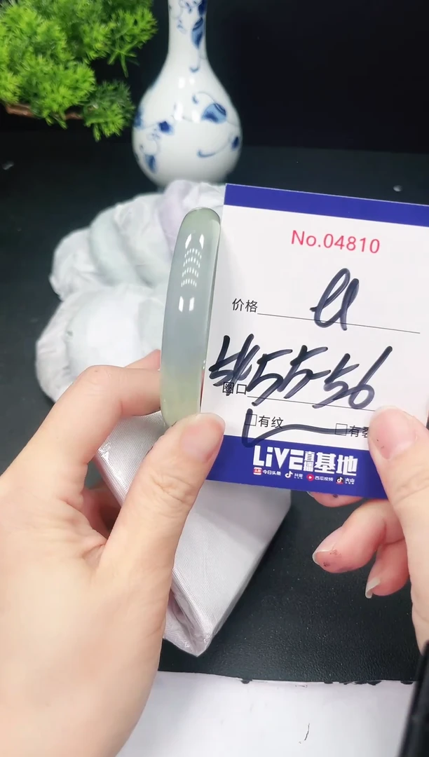 未镶嵌手镯翡翠4810