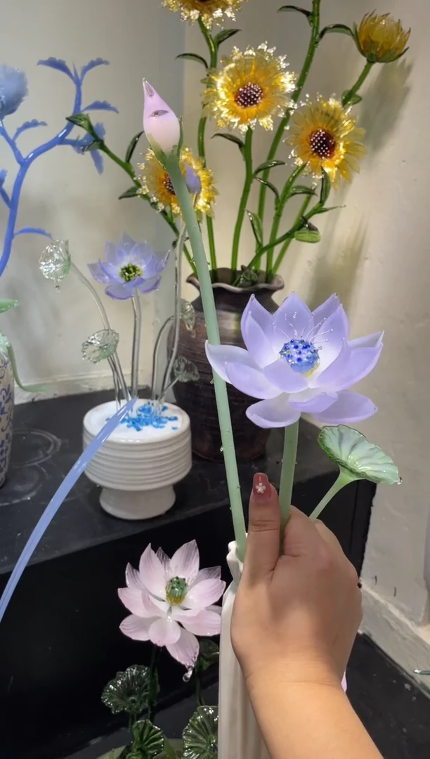 琉璃48荷花