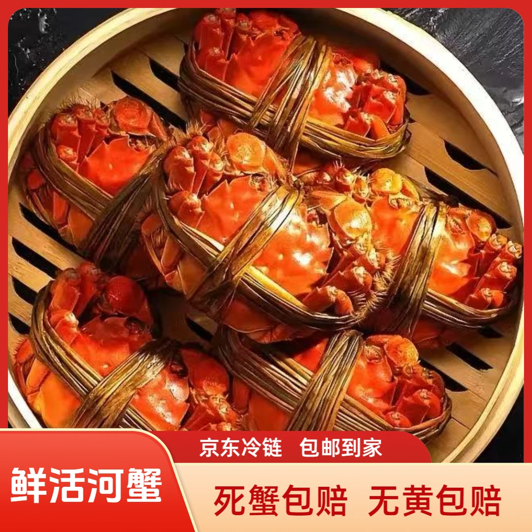 【活蟹】大闸蟹二两半公蟹 10只
