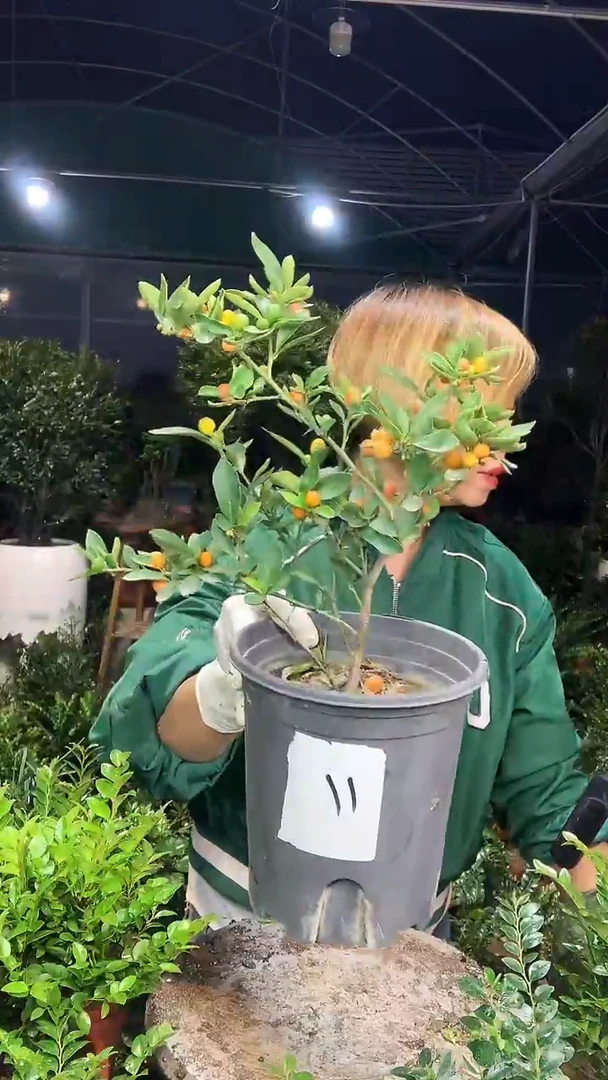 完全开放111111111