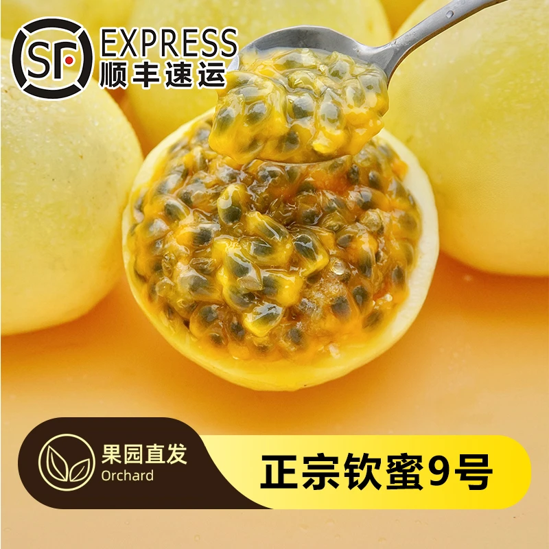 【新用户尝鲜装】钦蜜9号黄金百香果1斤特大果香浓郁新鲜应季VC水果