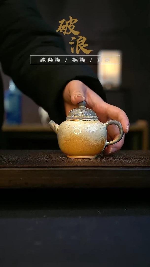 【闪购商品】壶491号容量100-110ML