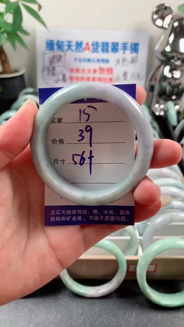 未镶嵌手镯翡翠15