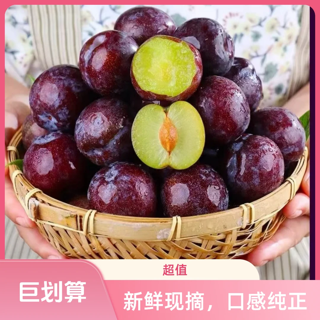 五月脆李子新鲜当季应季水果现摘现发