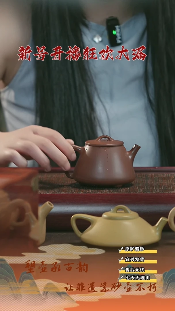 茶壶紫砂12宜兴紫砂茶壶
