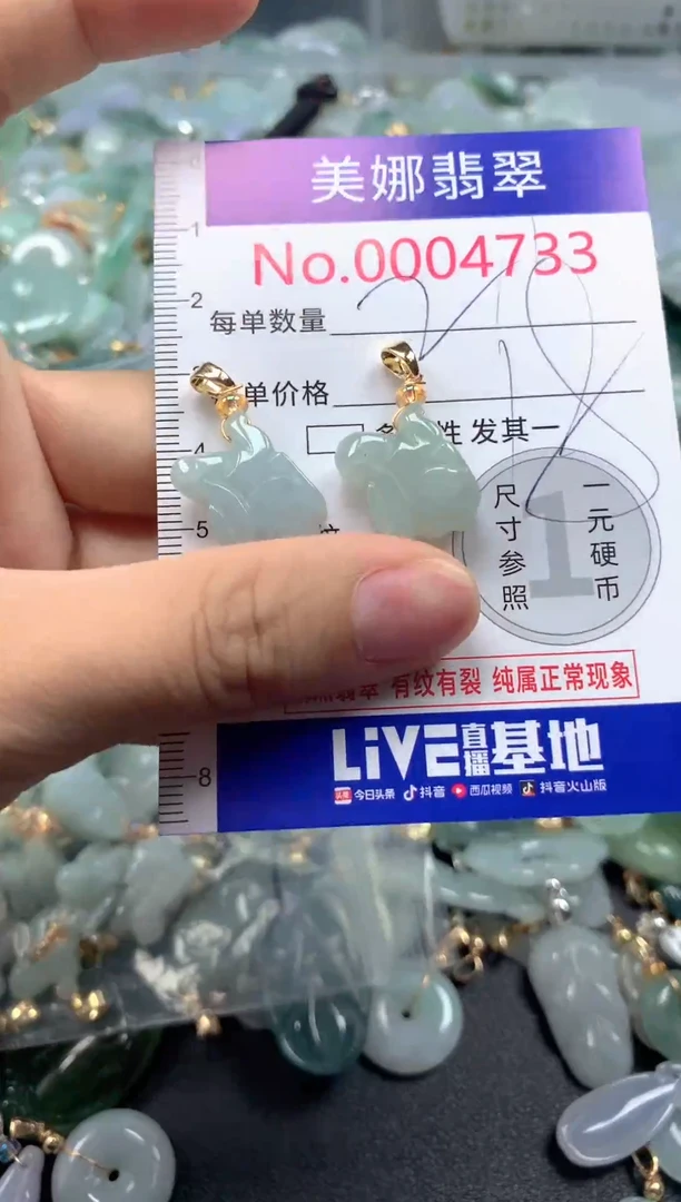 颈饰未镶嵌翡翠4733