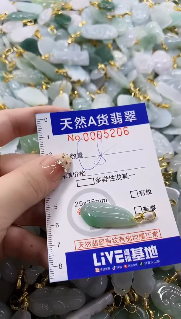 颈饰未镶嵌翡翠天然A货翡翠