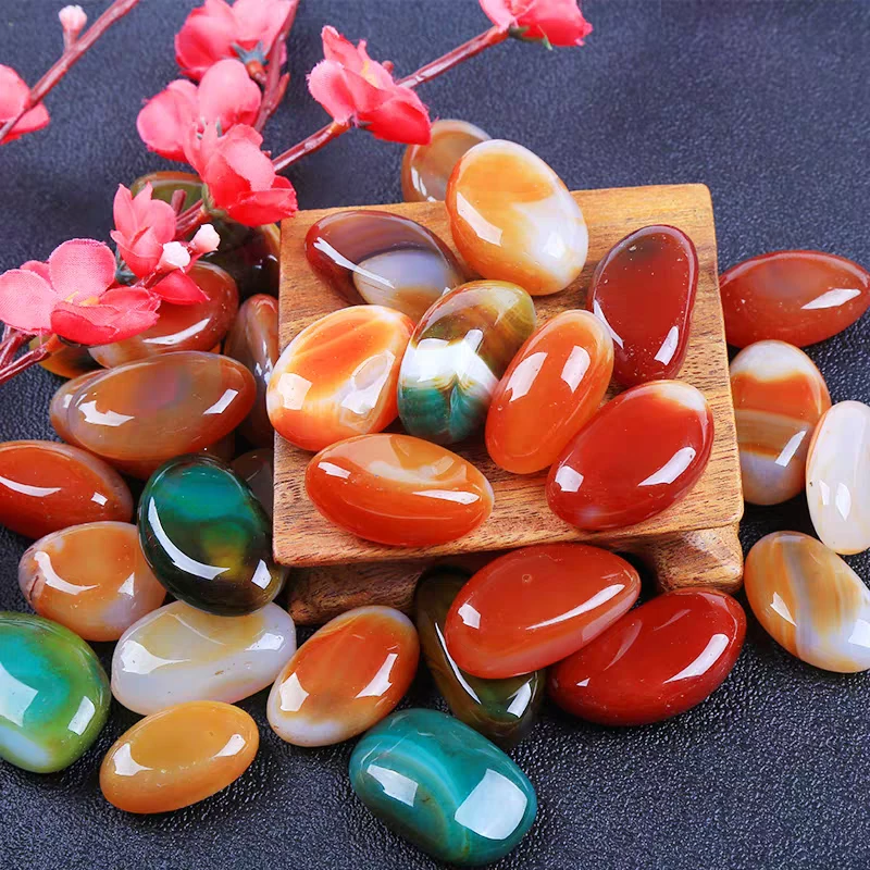 新疆戈壁三彩盆景石 黄蜡石 泥石 《一物一拍，多样发货》