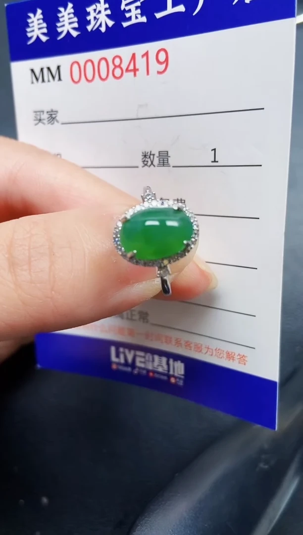 翡翠银S925镶嵌颈饰8419