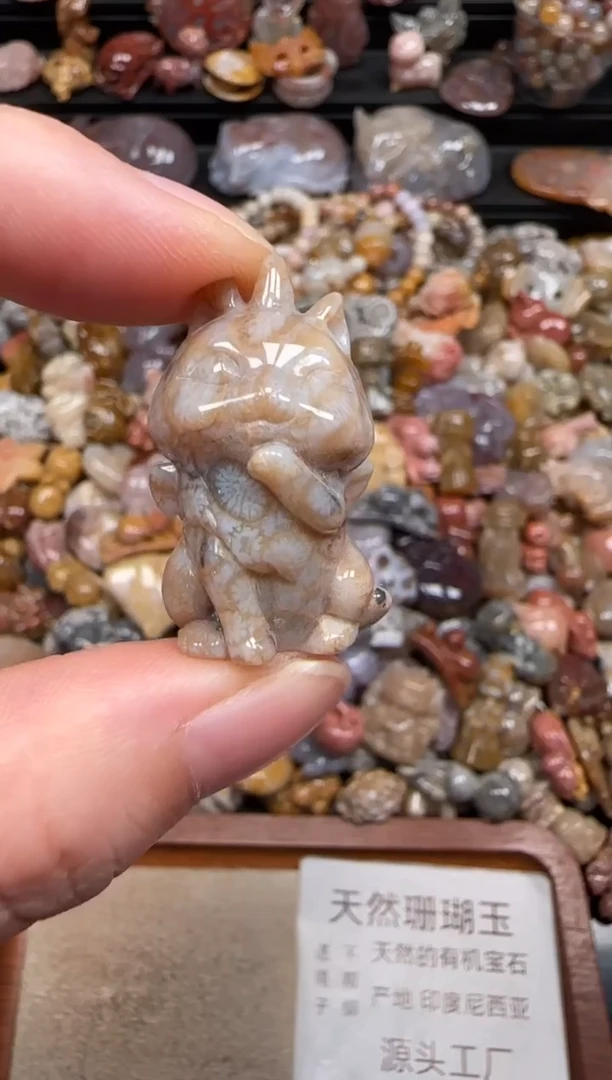 硅化珊瑚（珊瑚玉）未镶嵌颈饰664