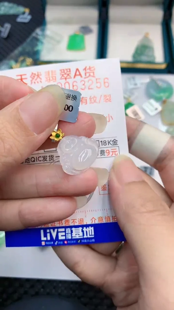 【闪购商品】翡翠颈饰18K金镶嵌            8