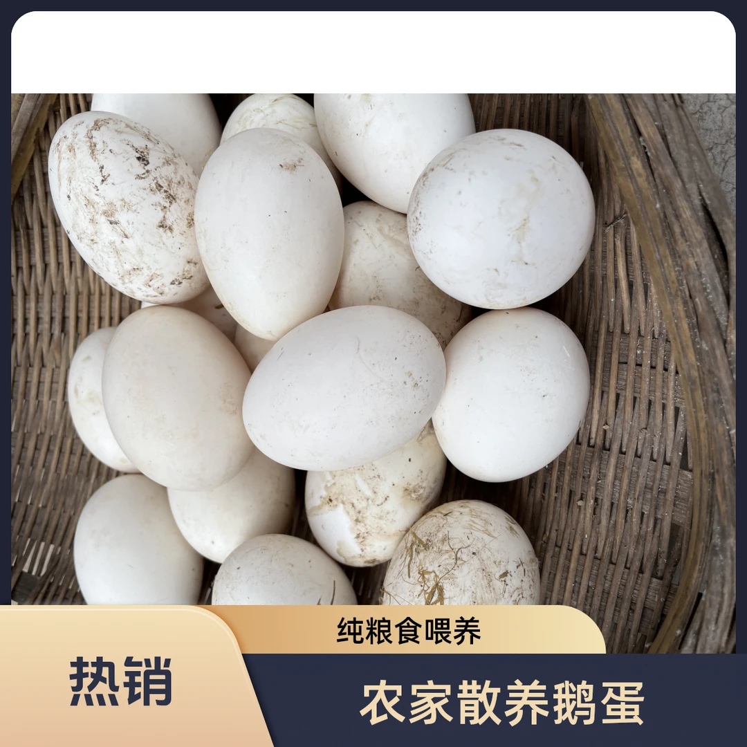 农家纯粮食散养大白鹅鹅蛋