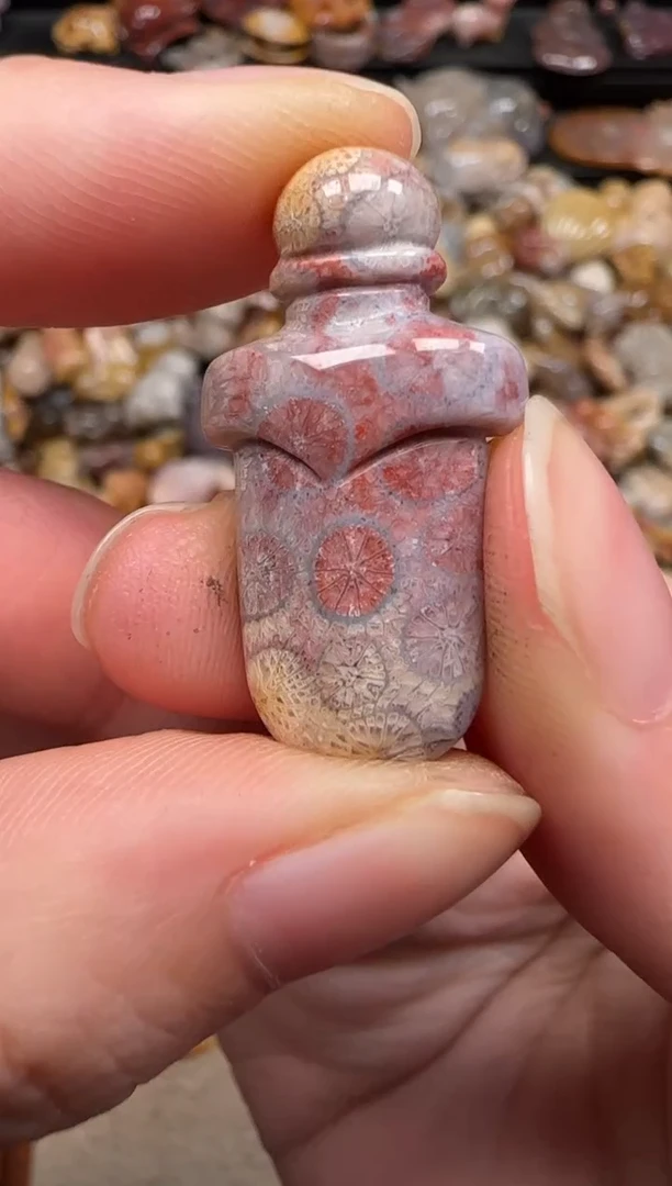 硅化珊瑚（珊瑚玉）未镶嵌颈饰109