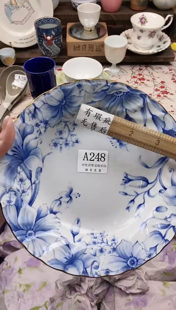 瓷片L**a      A248