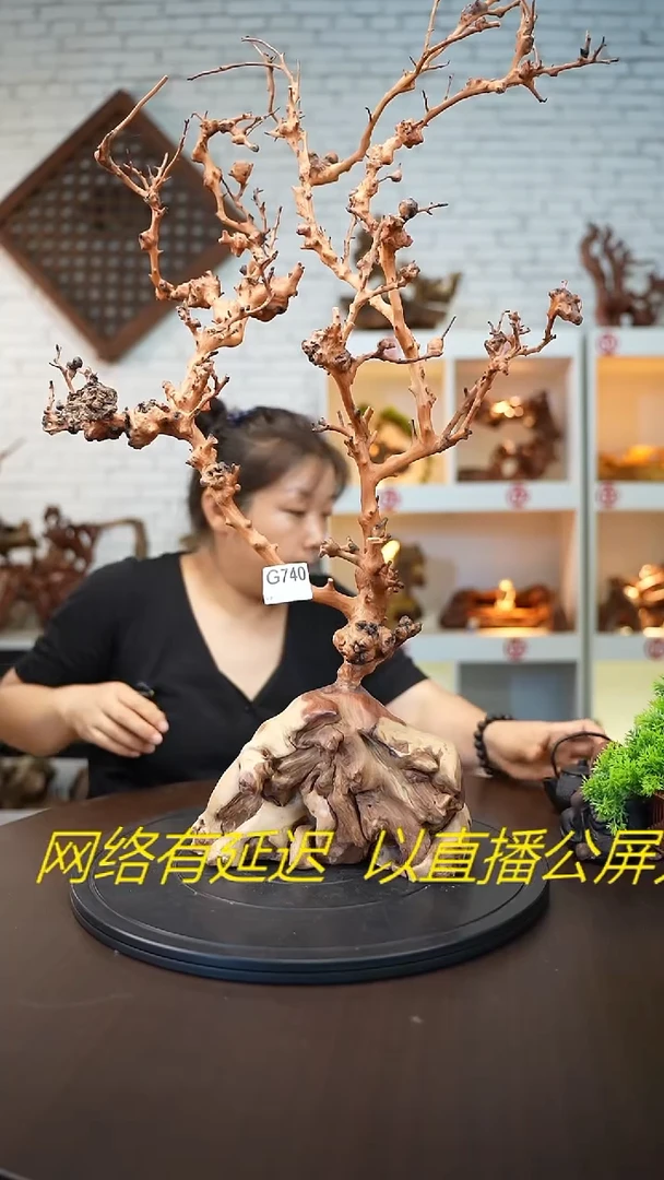 木木雕款小*云南自然根艺摆件