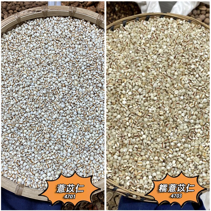 薏苡仁正宗新货农家新薏苡仁当季新货薏仁米100g起购