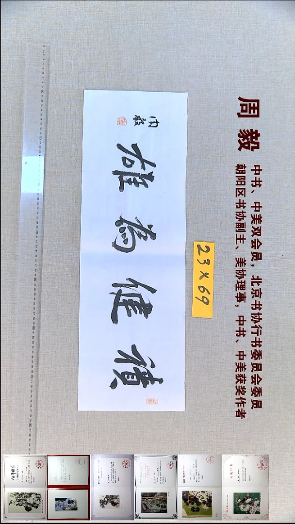 书法周毅书法福利23*69积健为雄