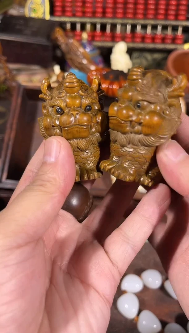 黄杨木11111111111111111111