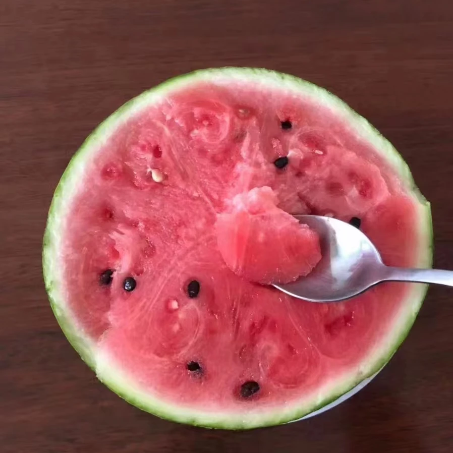 上海南汇8424西瓜 头茬精品一藤一瓜新鲜水果当季薄皮顺丰包邮5斤/10斤上海市