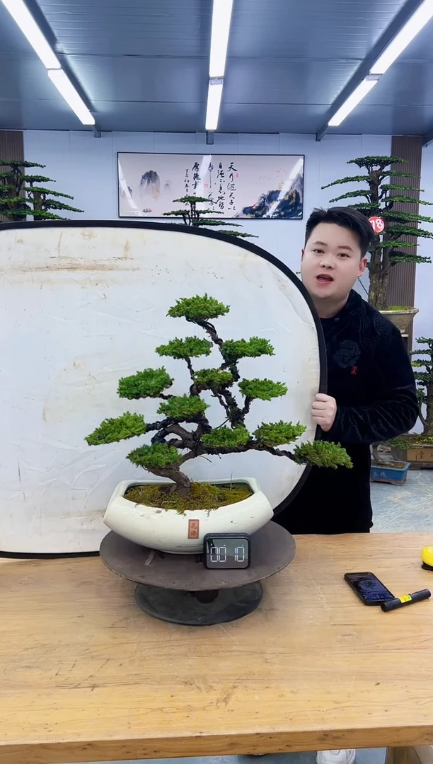 以实际为准00000000