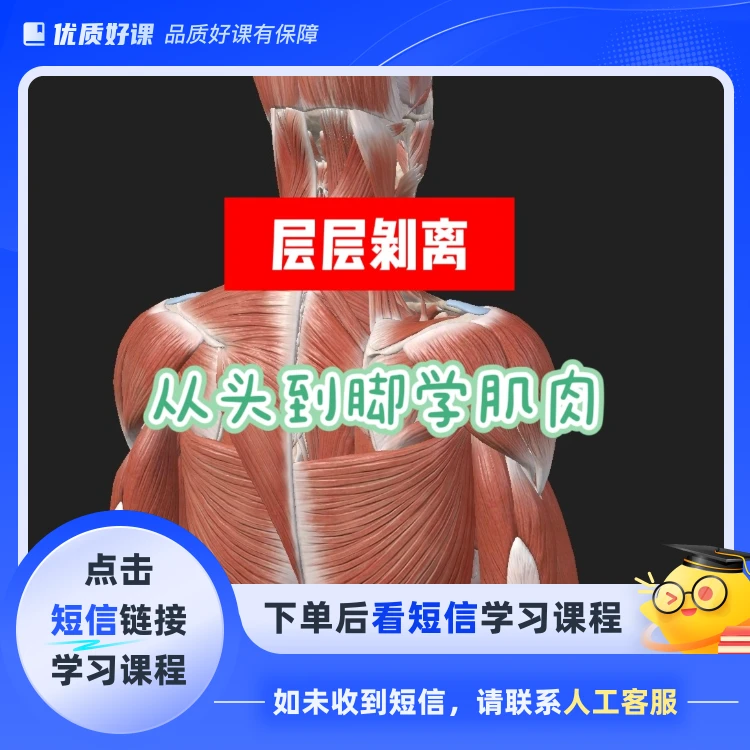 从头到脚学肌肉（点击短信链接学习课程）