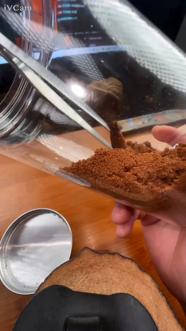香料金三角绿奇楠粉  5g