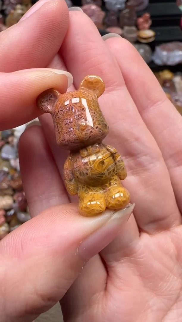 颈饰未镶嵌硅化珊瑚（珊瑚玉）823