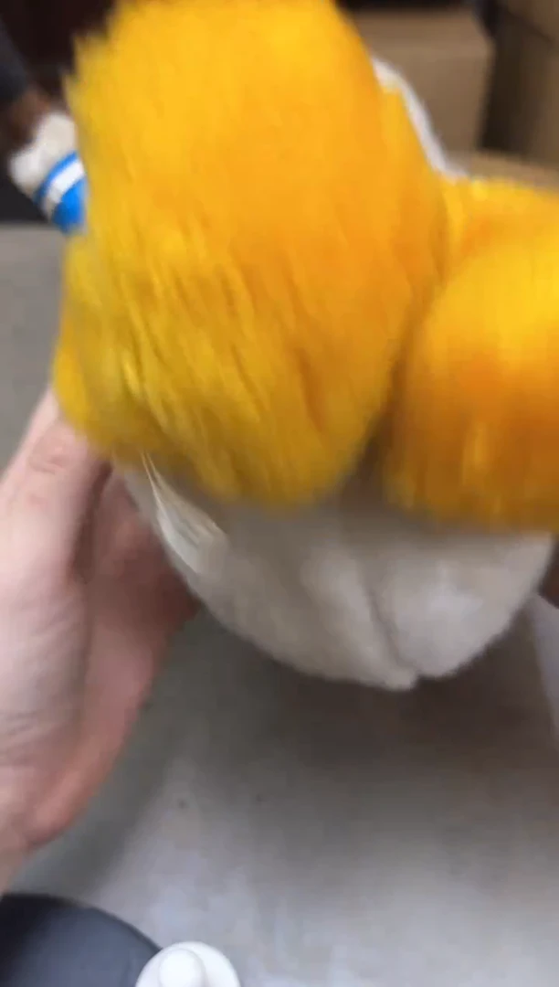 瓷片482聚宝缘海淘精选