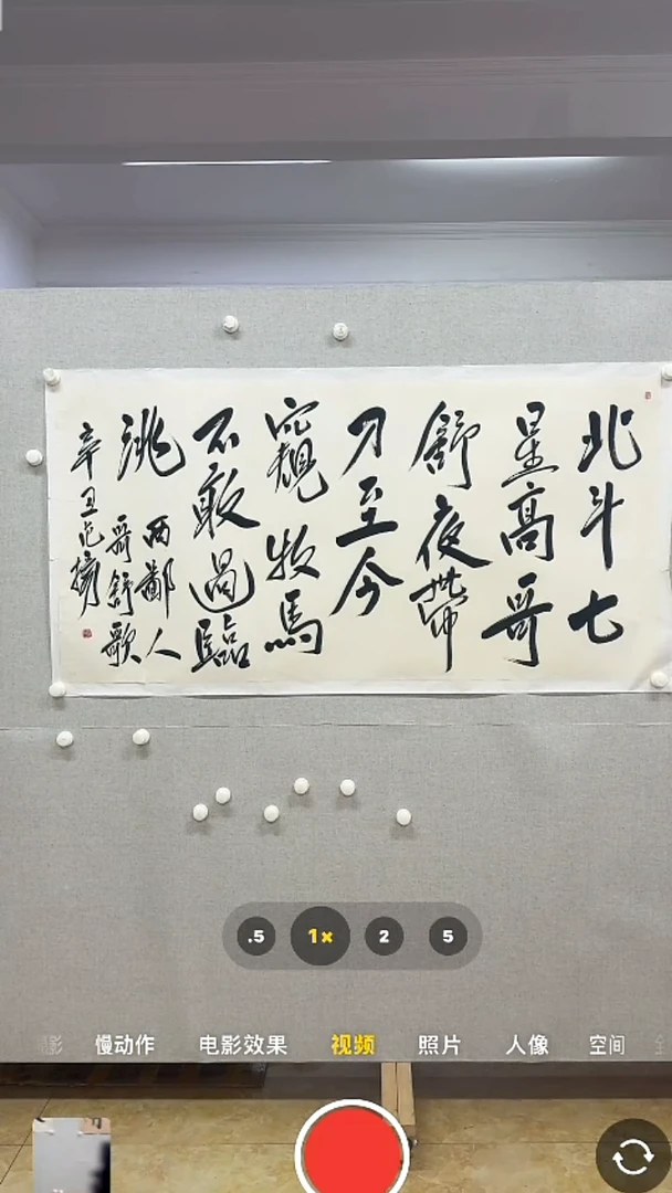 【闪购商品】书法-绘画-范y-8平尺书法