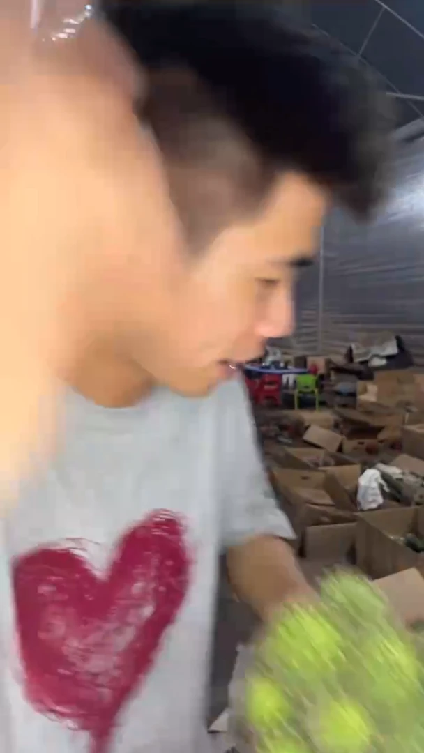 多头 席克彩草【带根】