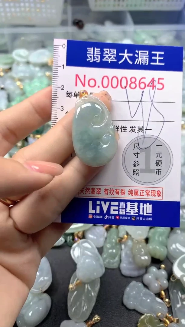 颈饰未镶嵌翡翠8645