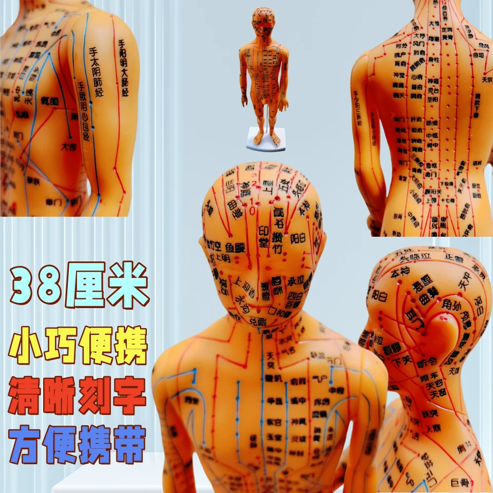 全身人体经络穴位模型针灸按摩教学用男女通用铜色小皮人