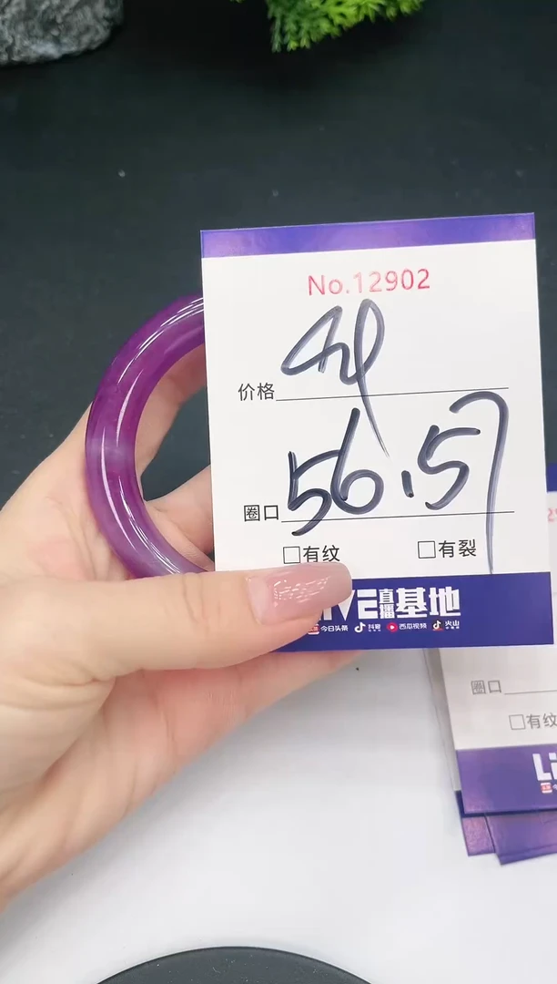 未镶嵌手镯翡翠12902