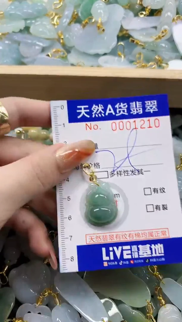 颈饰未镶嵌翡翠天然A货翡翠