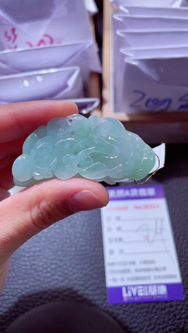颈饰未镶嵌翡翠00000314