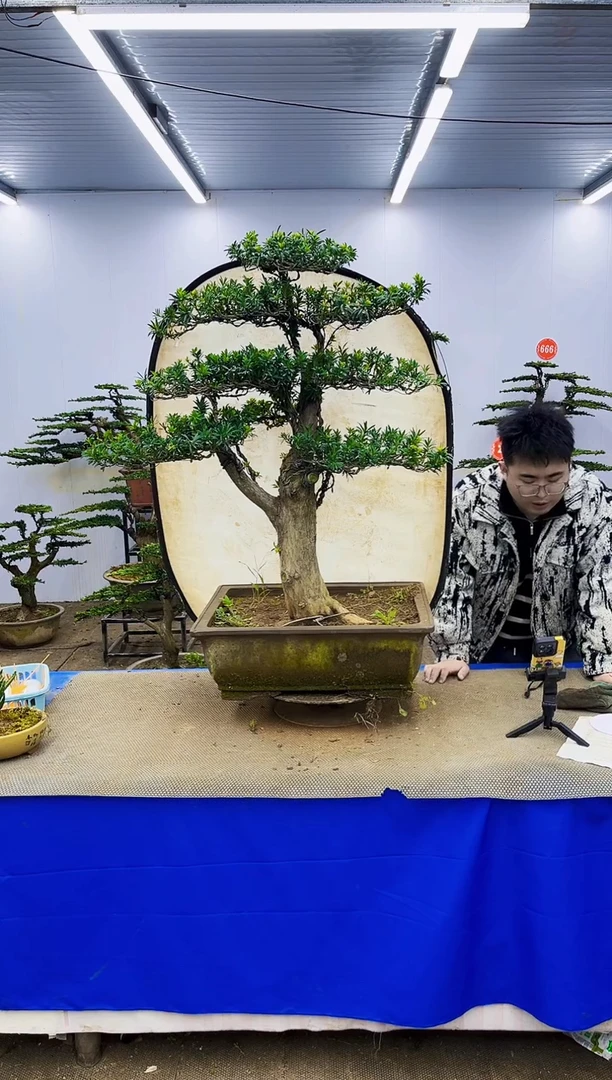 完全开放一物一拍，所见即所得