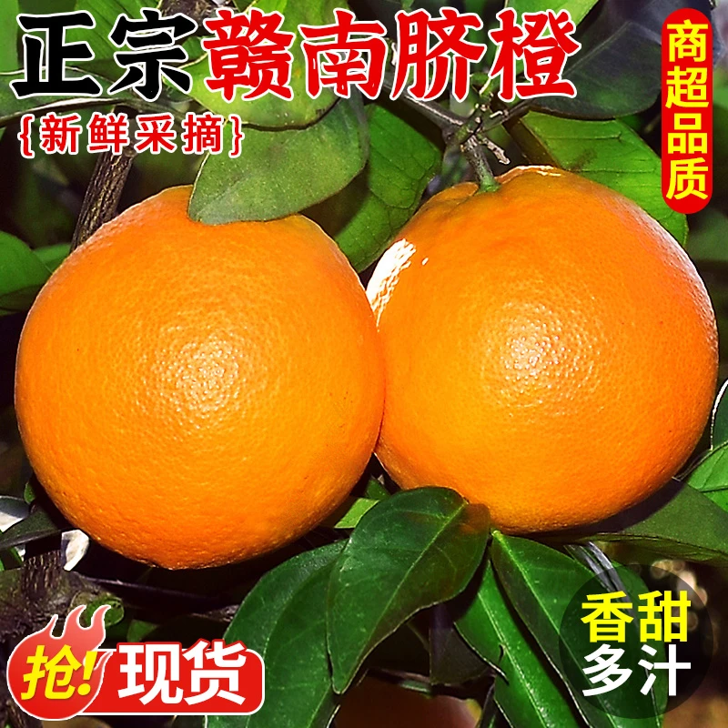 正宗赣南脐橙新鲜橙子当季水果现摘江西手剥冰糖甜橙大果整箱包邮