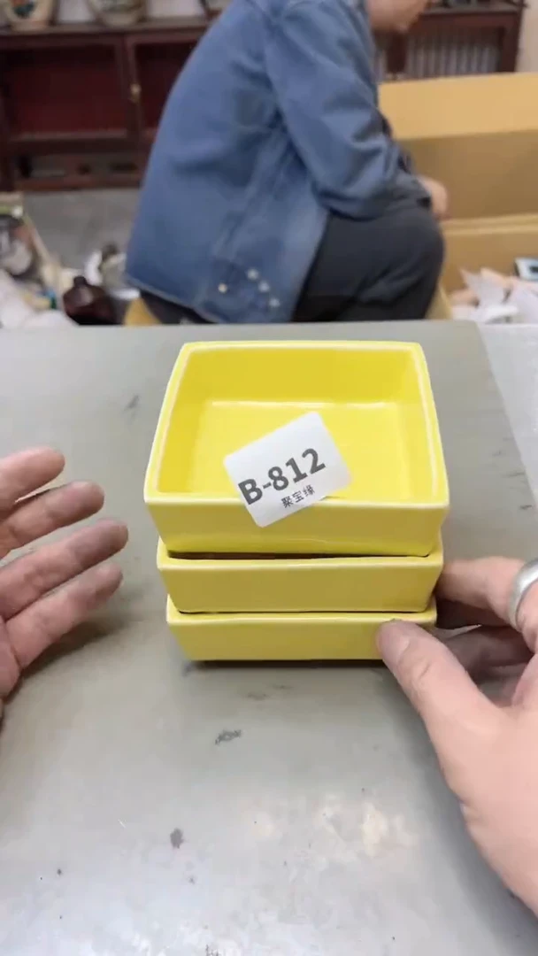 【闪购商品】瓷片812 聚宝缘  二号店