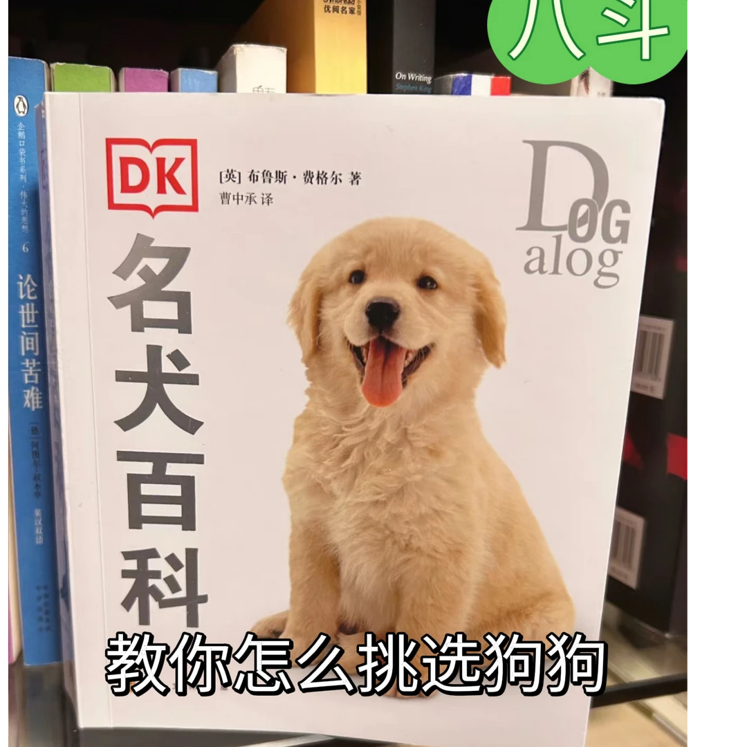 八斗教你怎么挑选狗狗
